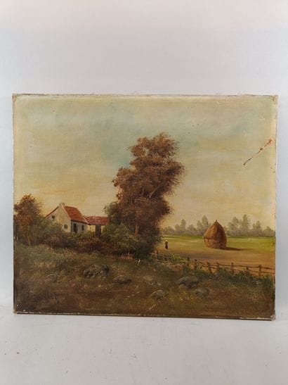 A beautiful set of 9 paintings, oils on canvas...