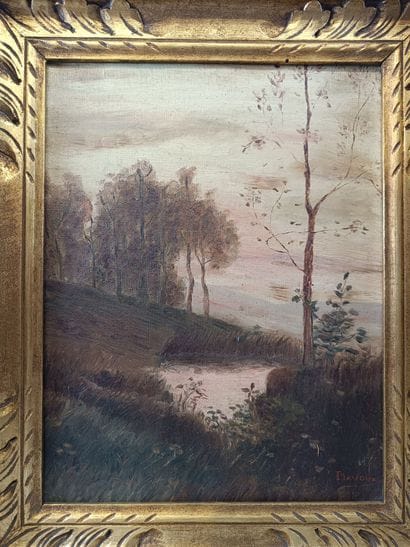 A beautiful set of 9 paintings, oils on canvas...