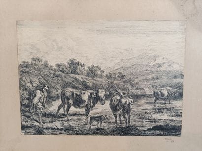 Set of 24 pieces, including illustrations,...