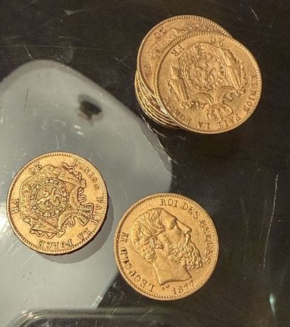 20F or jaune Léopold Ier dont 1865 (x2)
20F...