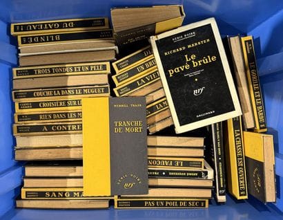 LIVRES modernes : Beaux-Arts, Gauguin, Nabis,...