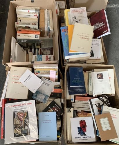 Literature: Bataille, Crevel, Flaubert, Orsenna,...