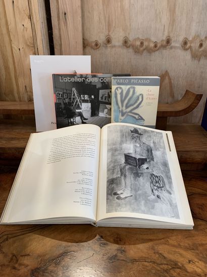 Picasso. 12 livres
Pierre DAIX Picasso Profils...