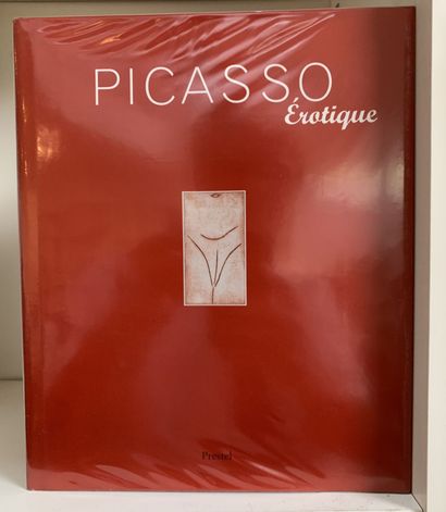 Picasso. 12 livres
Pierre DAIX Picasso Profils...