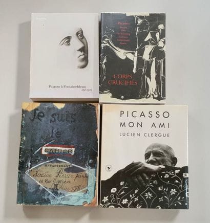 Picasso. 12 livres
Pierre DAIX Picasso Profils...