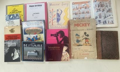 Lot of comic books and illustrated books:...