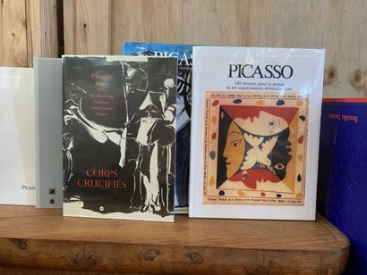 Picasso. 12 livres
Pierre DAIX Picasso Profils...