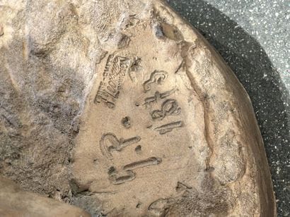 Elégante au petit chien.
Terre cuite d'édition...