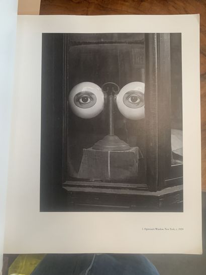 Collection of books on photography: 
Dorothea...