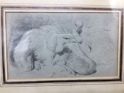 Ecole du XXème siècle. Vautours, crayon sur...
