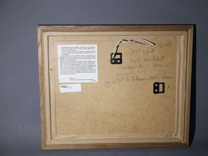 Eddine Sahraoui SCHEMS, assemnblée, gouache...