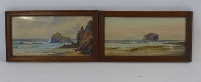 Bord de mer, aquarelle
Ecole du début du...