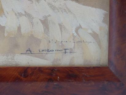 DROUOT. Saint Jean l'abbaye. 
Auguste César...