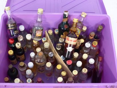 Environ 60 mignonnettes Rhum et Anis 
Réunion...