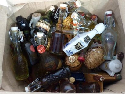 Environ 60 mignonnettes alcool divers. 
Réunion...