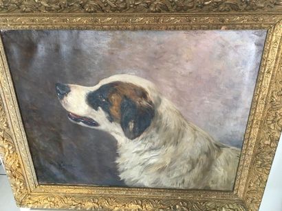 YO LAUR, Chien,
Yvonne LAUR (1879-1943) dit...
