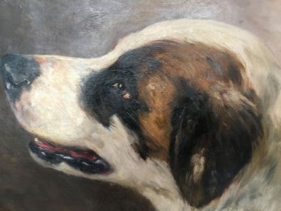 YO LAUR, Chien,
Yvonne LAUR (1879-1943) dit...