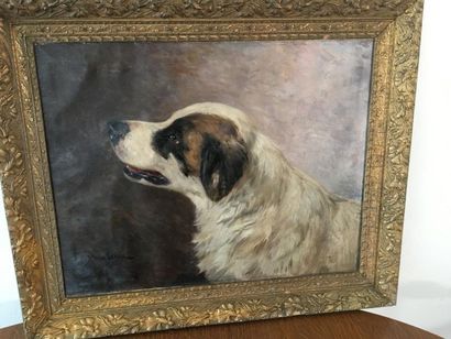 YO LAUR, Chien,
Yvonne LAUR (1879-1943) dit...