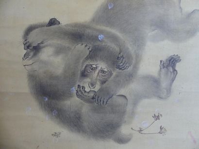 Kakemono à motif de singes combattant, 
JAPON....
