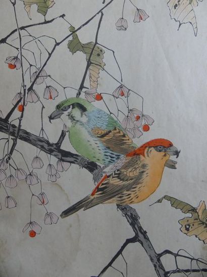 Ensemble de 36 reproductions d'estampes 
JAPON....