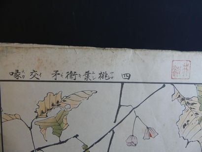 Ensemble de 36 reproductions d'estampes 
JAPON....