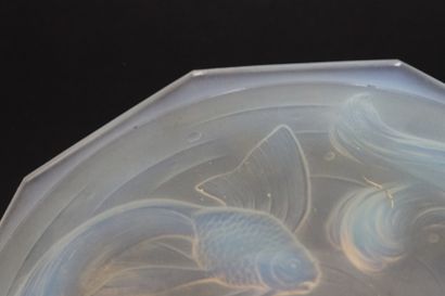 Plat en verre opalescent. 
In the taste of...