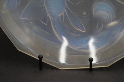 Plat en verre opalescent. 
In the taste of...