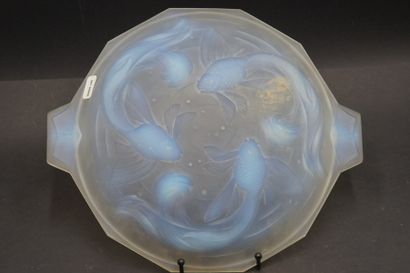 Plat en verre opalescent. 
In the taste of...