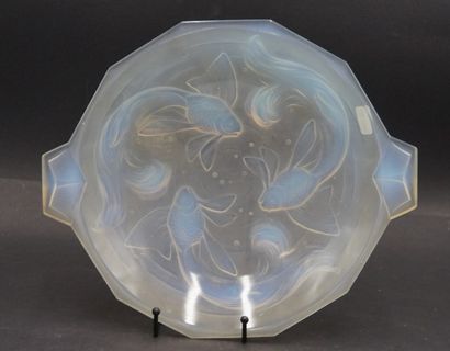 Plat en verre opalescent. 
In the taste of...