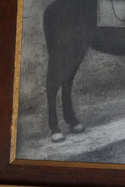 Officier à cheval. Fusain sur papier
School...