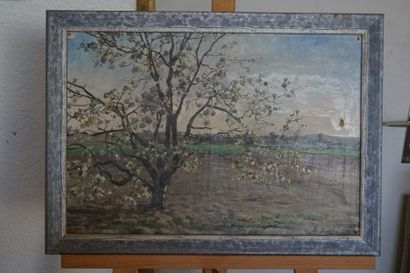 Bernard BRUNEL (XIX-XXth). landscape, oil...