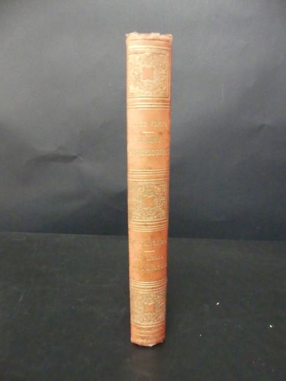 Jules VERNE, La Jangada, Huit cents lieues...