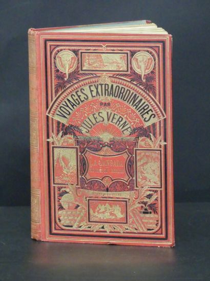 Jules VERNE, La Jangada, Huit cents lieues...