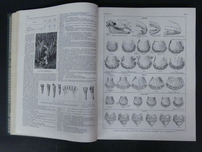 Larousse Agricole, 2 volumes Sous la direction...