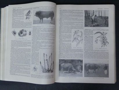 Larousse Agricole, 2 volumes Sous la direction...