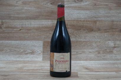 1 mgnum 1,5l de Pommard 1er cru 2005