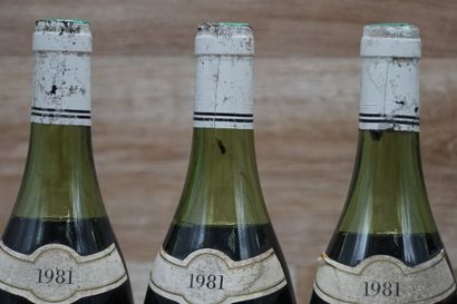 6 bouteilles de Clos de La Roche 1981 mise...