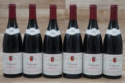 6 bouteilles d' Echezeaux Grand Cru 2002...
