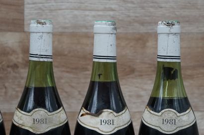 6 bouteilles de Clos de La Roche 1981 mise...