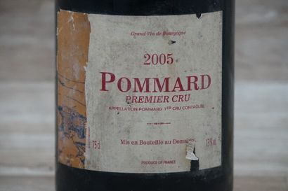 1 mgnum 1,5l de Pommard 1er cru 2005