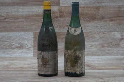 2 bouteilles de vin de Bourgogne blanc de...