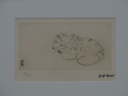 HECHT Joseph (1891-1951). Petit ours, c....