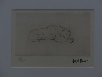 HECHT Joseph (1891-1951). Ours blanc à Anvers,...