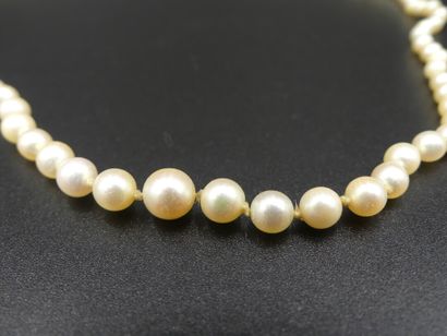 Collier de perles de culture en chute, fermoir...