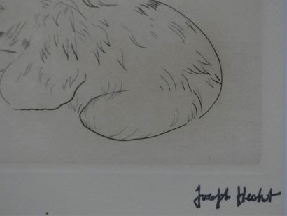 HECHT Joseph (1891-1951). Petit ours, c....
