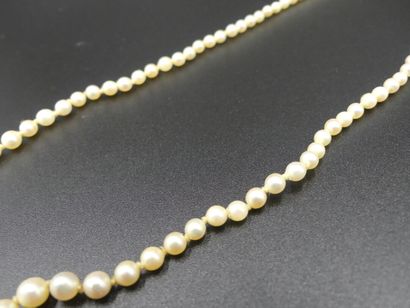 Collier de perles de culture en chute, fermoir...