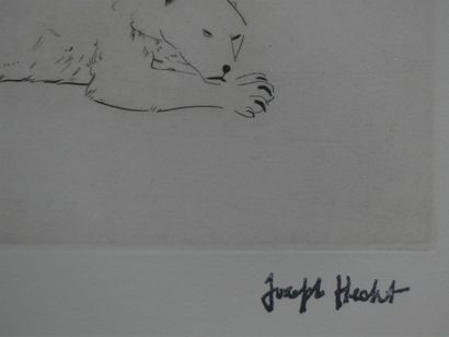 HECHT Joseph (1891-1951). Ours blanc à Anvers,...
