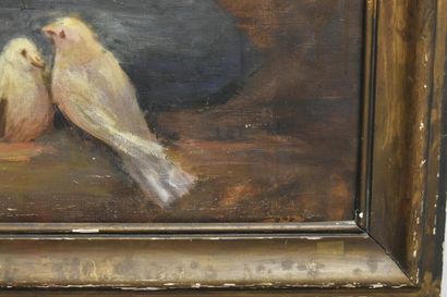 Marguerite CRISSAY, Nu aux oiseaux.
Marguerite...