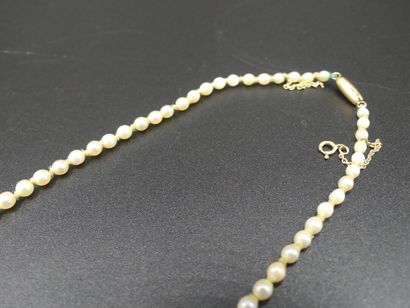 Collier de perles de culture en chute, fermoir...