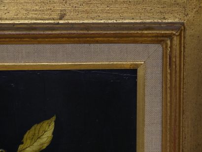 Max DANTON, Composition surréaliste, huile...